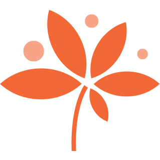 Rozkvitnes.sk / hodnotenia google